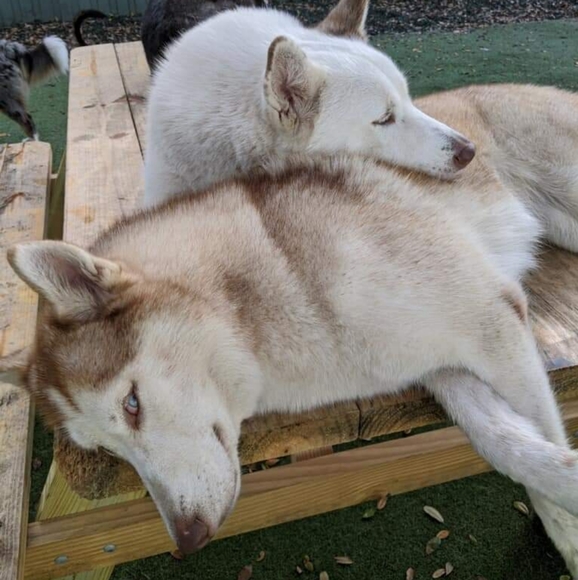 ❤ My Baby Girls ❤ - Picture 6 of 12